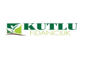 cropped-logo-1.png